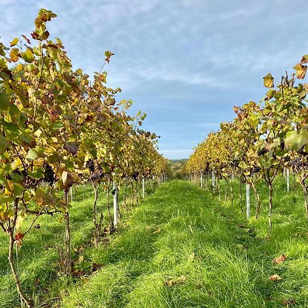 Potts Farm Villa Tenterden Dış mekan fotoğraf