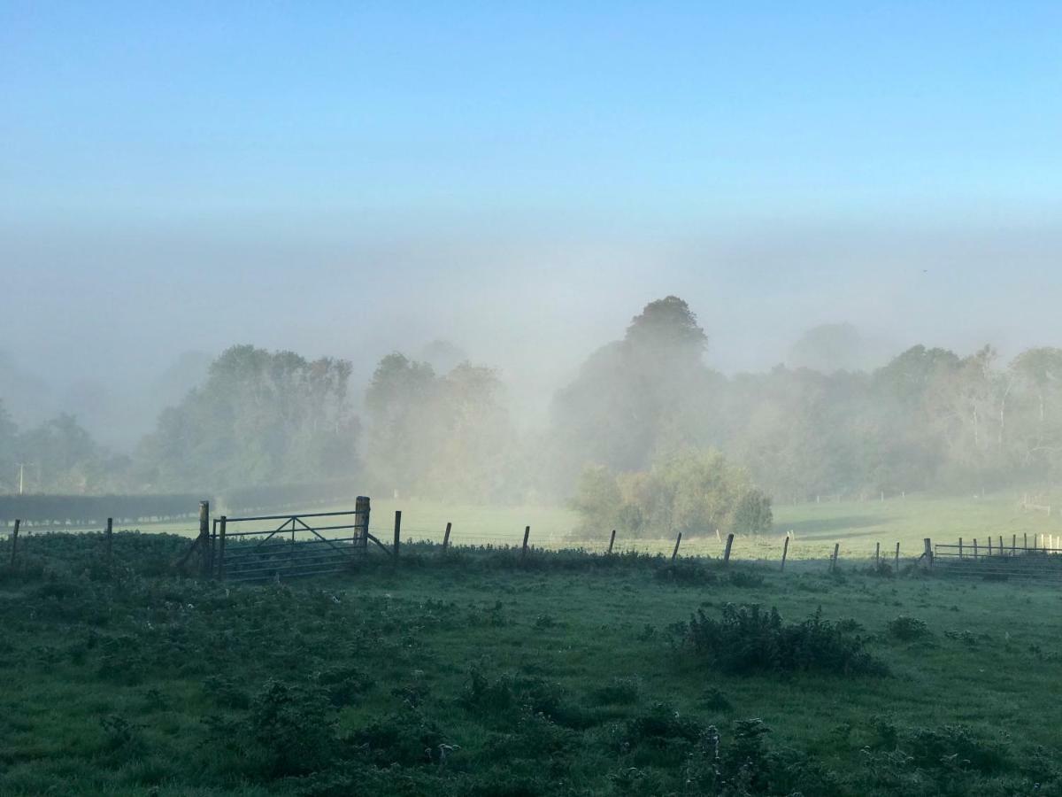 Potts Farm Villa Tenterden Dış mekan fotoğraf