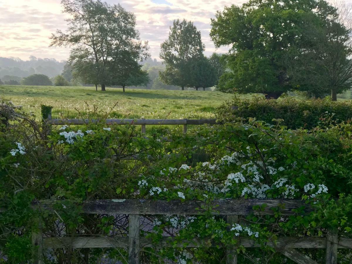 Potts Farm Villa Tenterden Dış mekan fotoğraf
